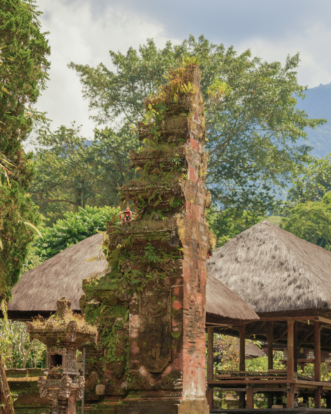 Pupuan — temple gate among forested rice country in Bali