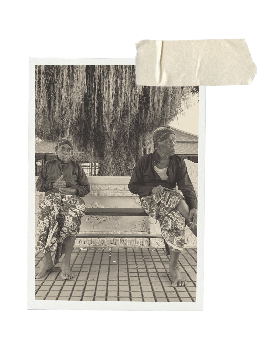 Two elders sitting on a stone bench beneath a tree